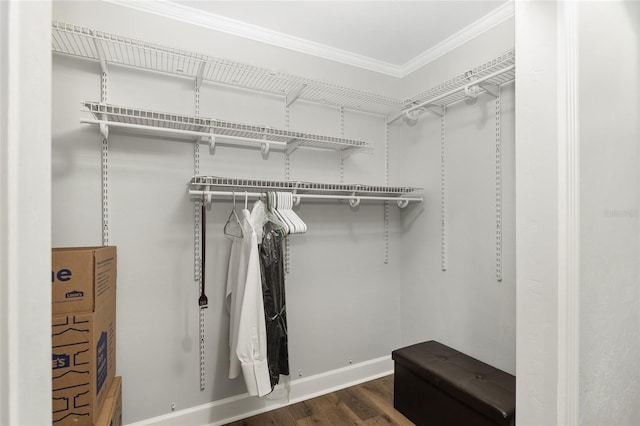 spacious closet with dark hardwood / wood-style flooring