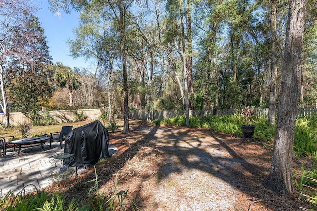 view of yard featuring a patio area