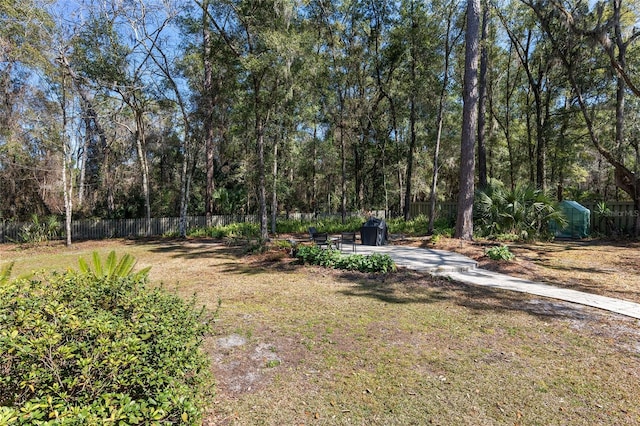 view of yard featuring a patio