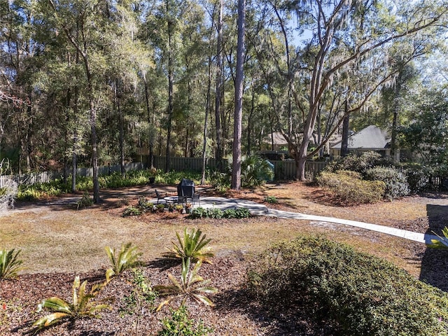 view of yard featuring a patio area