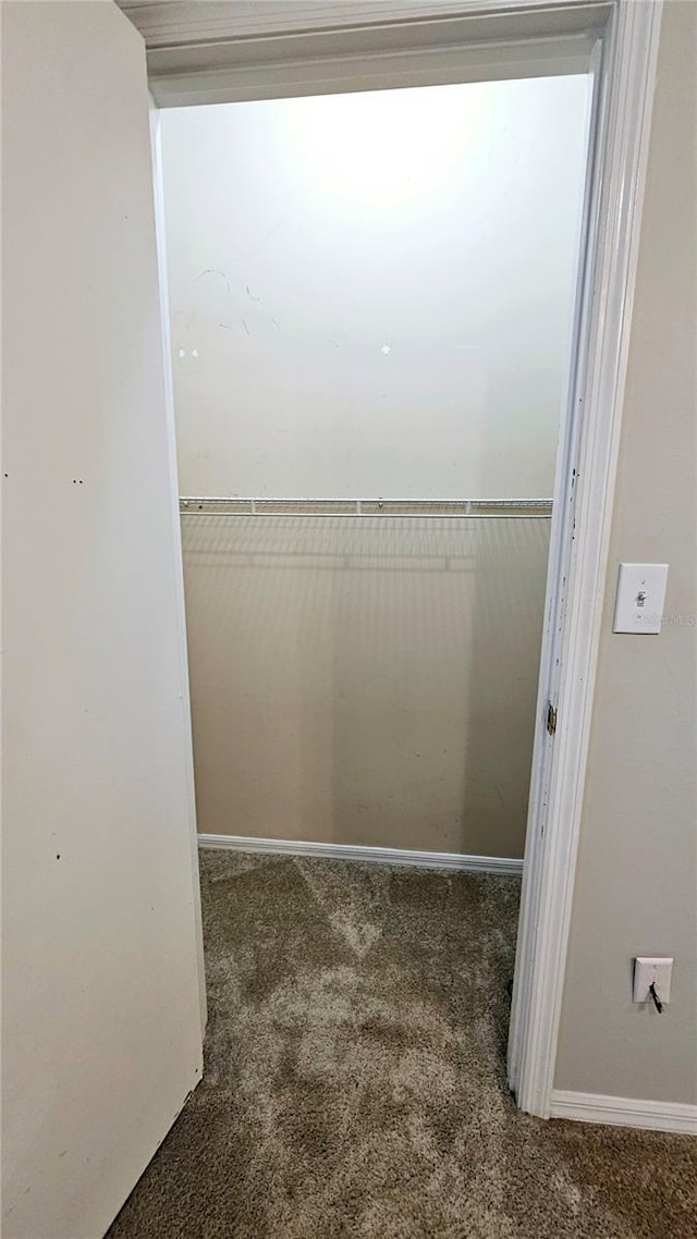 spacious closet with dark carpet