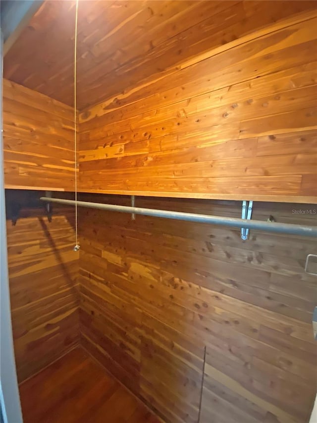 spacious closet with wood-type flooring