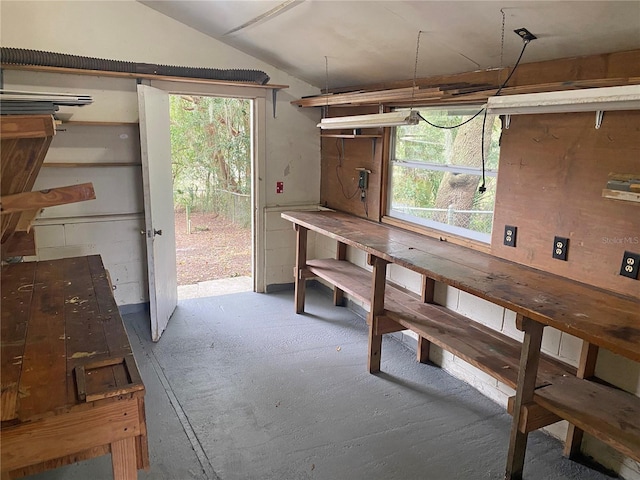 miscellaneous room featuring lofted ceiling