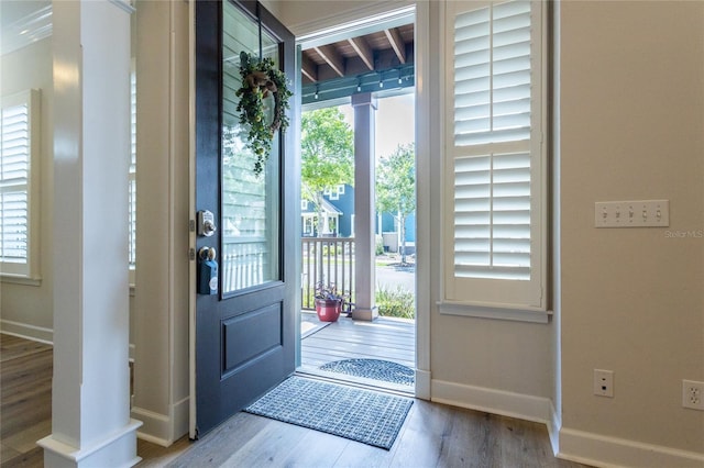 entrance foyer featuring a wealth of natural light, baseboards, and wood finished floors