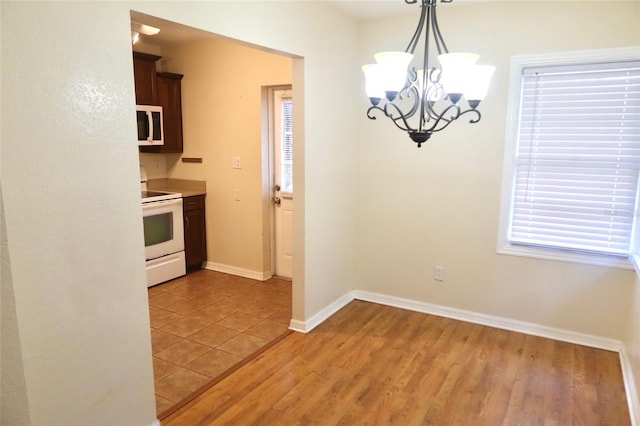 2704 NW 1st Ave, Gainesville, FL 32607 - unfurnished dining area featuring a chandelier, wood finished floors, and plenty of natural light