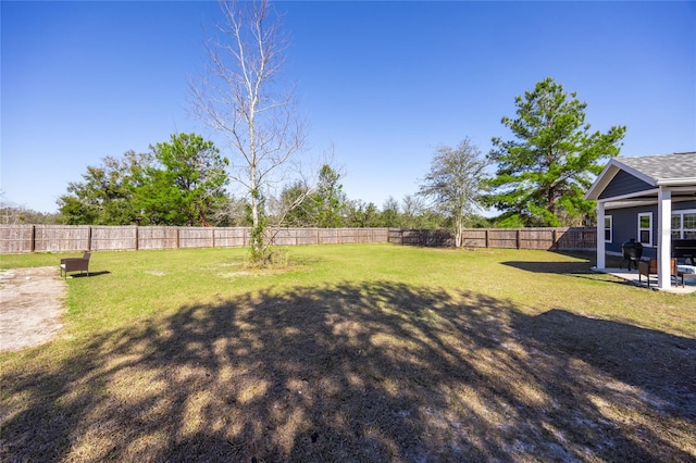 view of yard featuring a patio