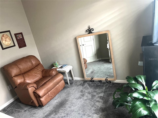 living area featuring baseboards and carpet flooring