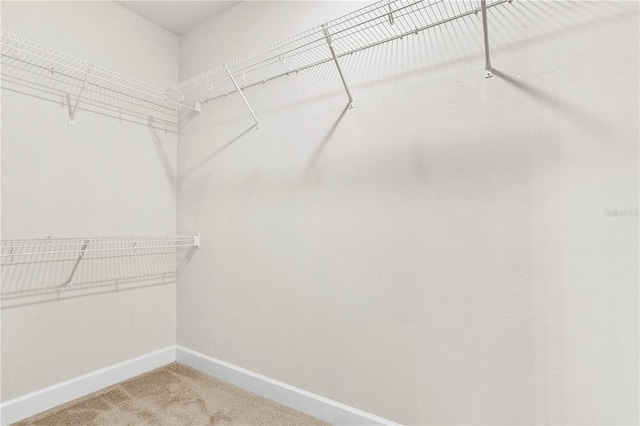 15854 NW 126th Ln, Alachua, FL 32615 - spacious closet with carpet floors
