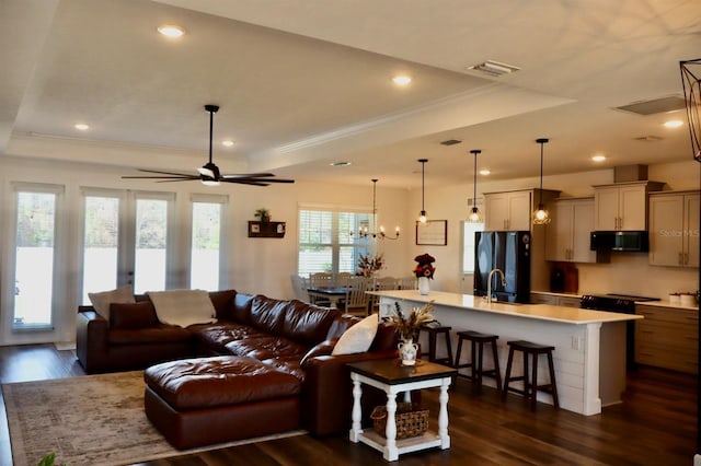 living room with dark hardwood / wood-style floors, ornamental molding, a tray ceiling, and sink