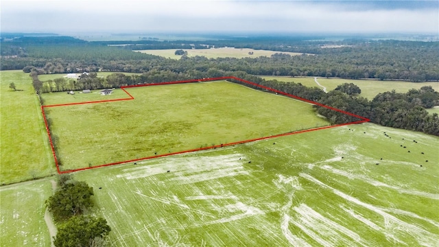 SW State Road 45, Newberry FL, 32669 land for sale