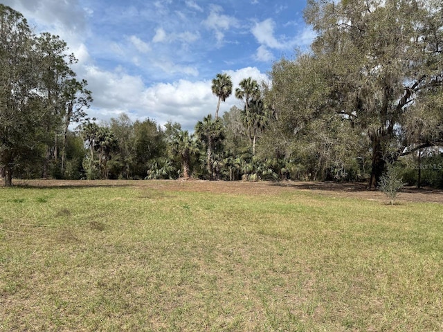 000 NE 184th Pl, Citra FL, 32113 land for sale