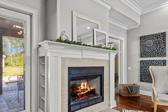 details featuring baseboards, a fireplace, ornamental molding, and wood finished floors