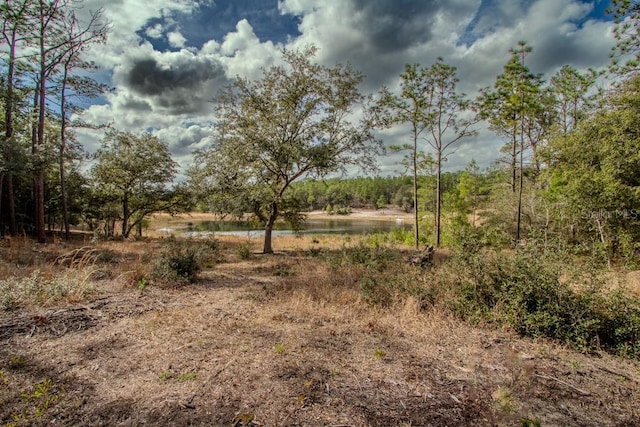 200 Hour Glass Cir, Hawthorne, FL 32640 - photo 5