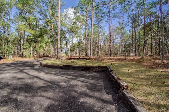 200 Hour Glass Cir, Hawthorne, FL 32640 - photo 6