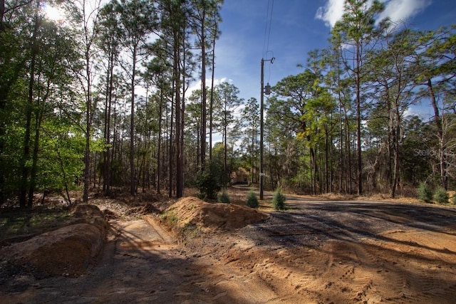 200 Hour Glass Cir, Hawthorne, FL 32640 - photo 23