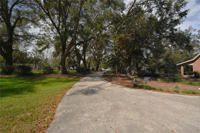 view of road