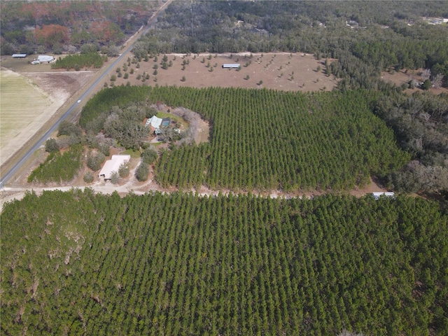 drone / aerial view featuring a rural view