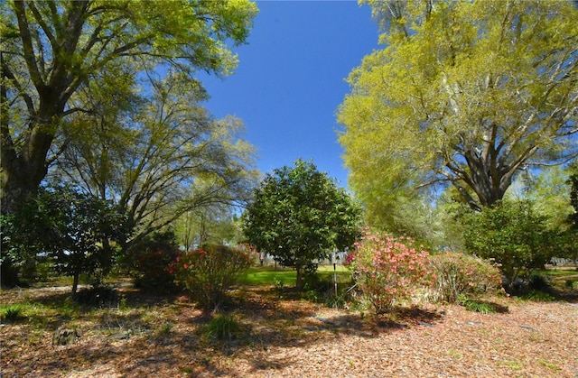 272 NE County Road 337, Trenton, FL 32693 - photo 95