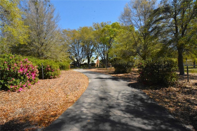 272 NE County Road 337, Trenton, FL 32693 - photo 96