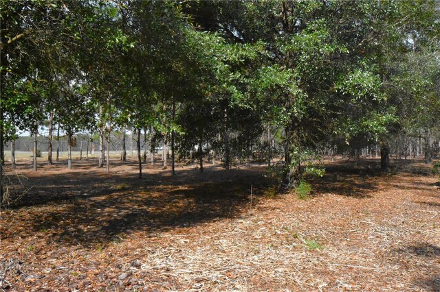 272 NE County Road 337, Trenton, FL 32693 - photo 72