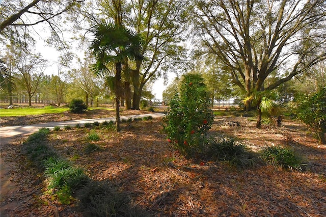 272 NE County Road 337, Trenton, FL 32693 - photo 77