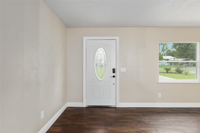 foyer entrance featuring dark wood-type flooring