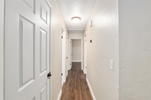 hallway with dark hardwood / wood-style floors
