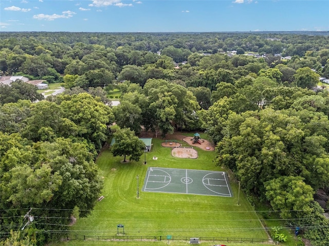 bird's eye view
