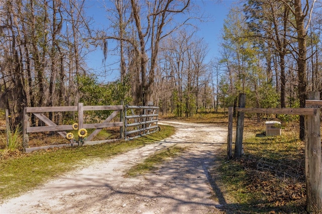 view of road featuring a gate