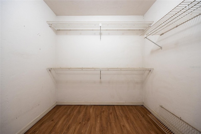 spacious closet featuring wood finished floors