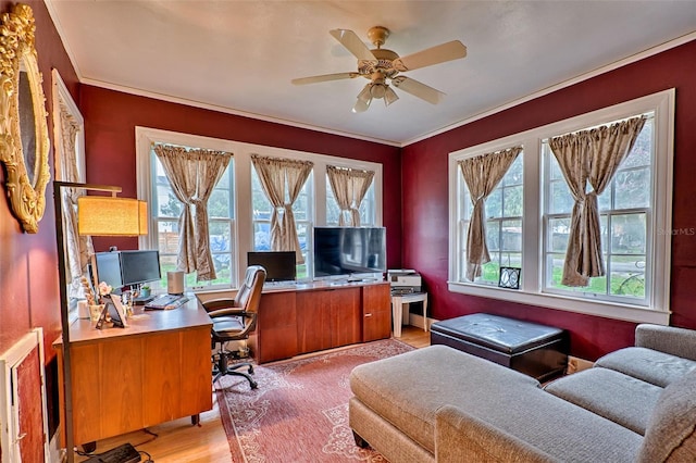 office area featuring light wood finished floors, ceiling fan, and ornamental molding