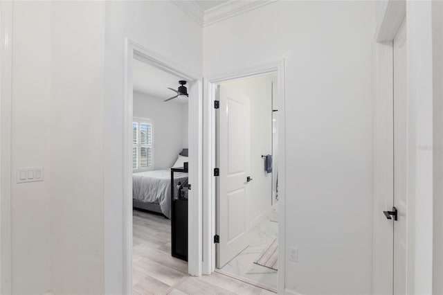 corridor featuring ornamental molding and light wood-style floors