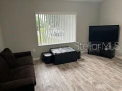 living room featuring light wood-style floors