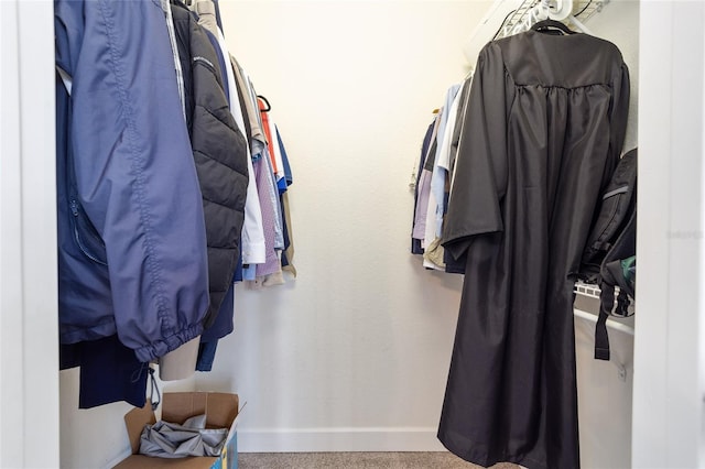 spacious closet featuring carpet floors