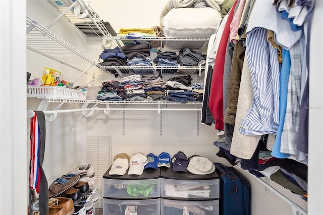 view of spacious closet