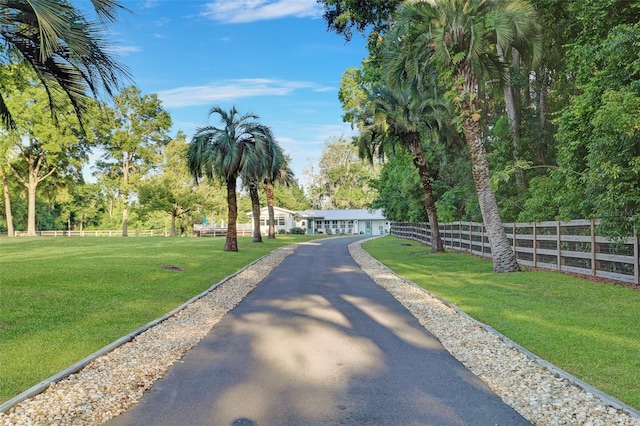 view of street with driveway