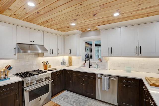 kitchen featuring dark brown cabinetry, under cabinet range hood, a sink, white cabinetry, and appliances with stainless steel finishes