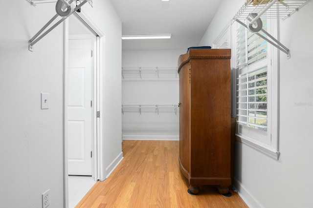 spacious closet with light wood-type flooring