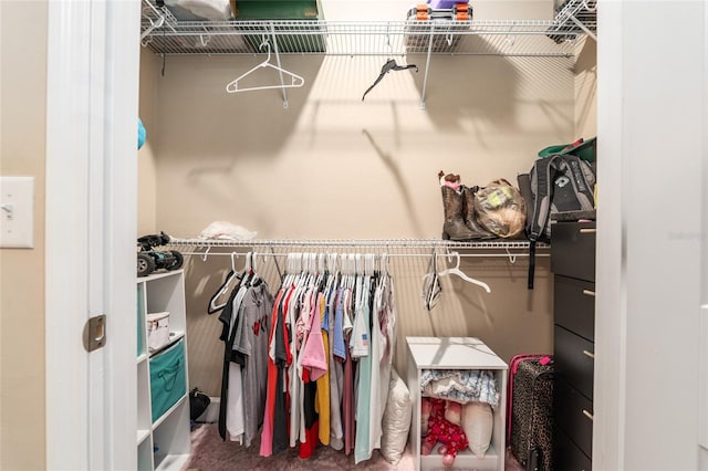 spacious closet featuring carpet floors