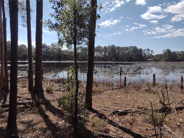 Listing photo 2 for 89 Tucker Lake Rd, Melrose FL 32666