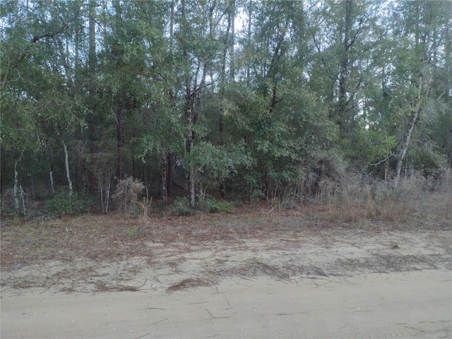 Listing photo 3 for 89 Tucker Lake Rd, Melrose FL 32666