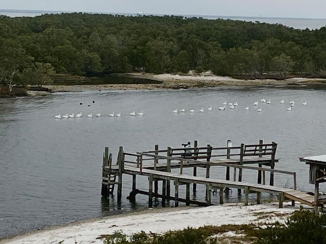 dock area featuring a water view and a wooded view