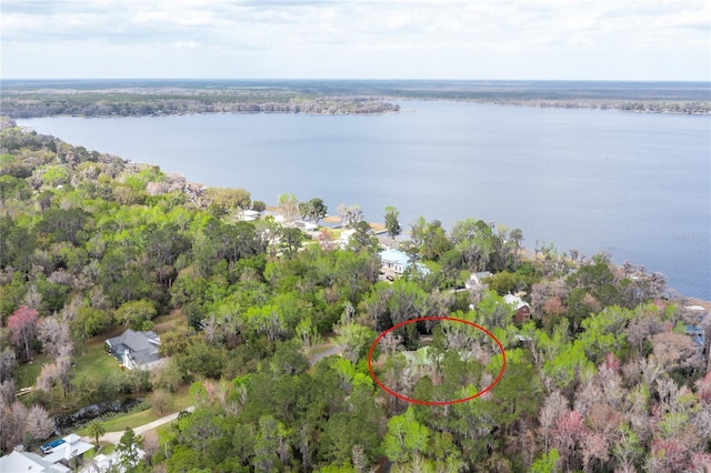 bird's eye view with a wooded view and a water view