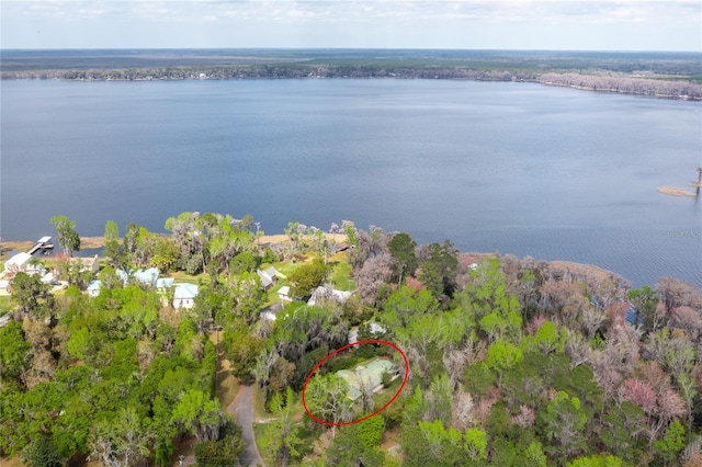 drone / aerial view with a wooded view and a water view