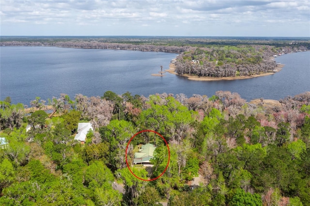 aerial view featuring a water view and a wooded view