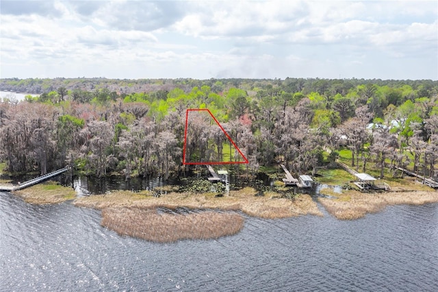 drone / aerial view with a forest view and a water view