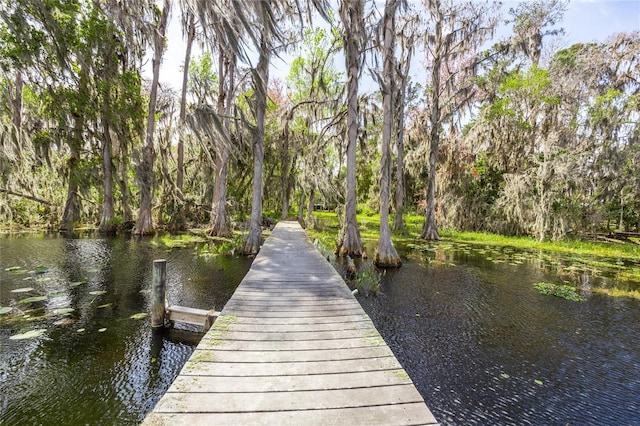 dock area featuring a water view