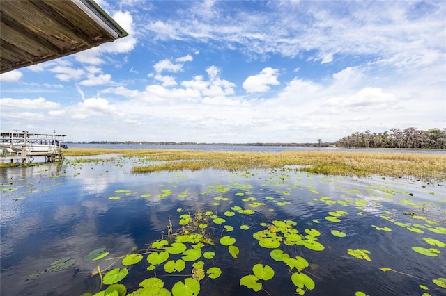 property view of water