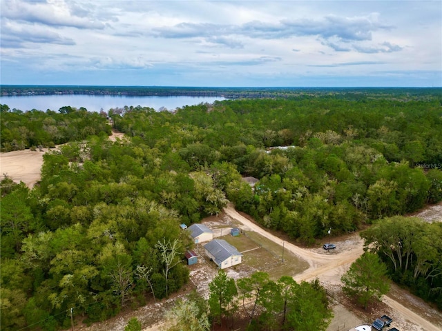 aerial view featuring a water view and a forest view