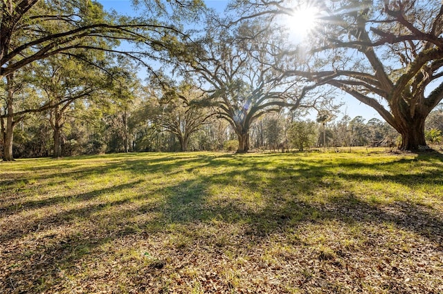 13717 NE 48th Pl, Gainesville FL, 32641 land for sale